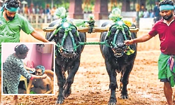 ಕಂಬಳದಲ್ಲಿ ಗೆದ್ದ ಚಿನ್ನ ಕೋಣಗಳ ಮಾಜಿ ಪರಿಚಾರಕರ ಚಿಕಿತ್ಸೆಗೆ