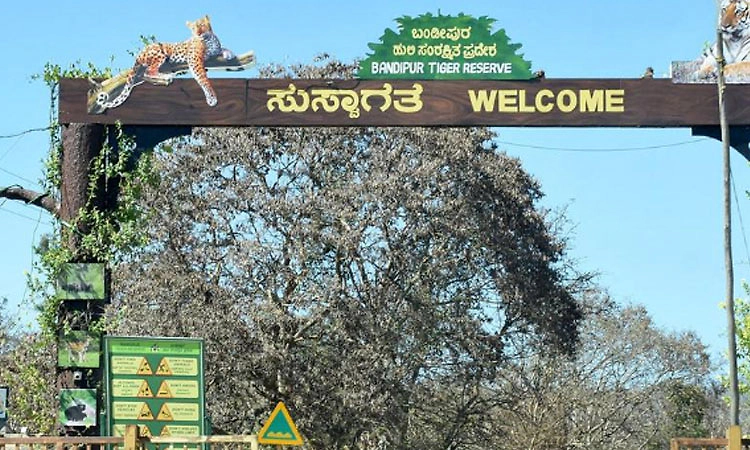 ಬಂಡೀಪುರ ರಾತ್ರಿ ಸಂಚಾರ ನಿಷೇಧ ತೆರವಿಗೆ ಕೇರಳ ಸಿಎಂ ಯತ್ನ