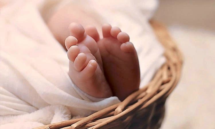 Koppala: ಮುಳ್ಳಿನ ಪೊದೆಯಲ್ಲಿ ನವಜಾತ ಶಿಶು ಪತ್ತೆ