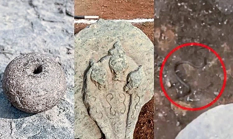 Lakkundi: Live snake spotted amid Naga stones during 13th day of excavation work