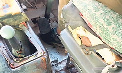 Malpe; ಗರಡಿಮಜಲಿನಲ್ಲಿ ರಾತ್ರಿ ಸಿಟಿ ಬಸ್‌ ಏರಿದ ಚಿರತೆ?