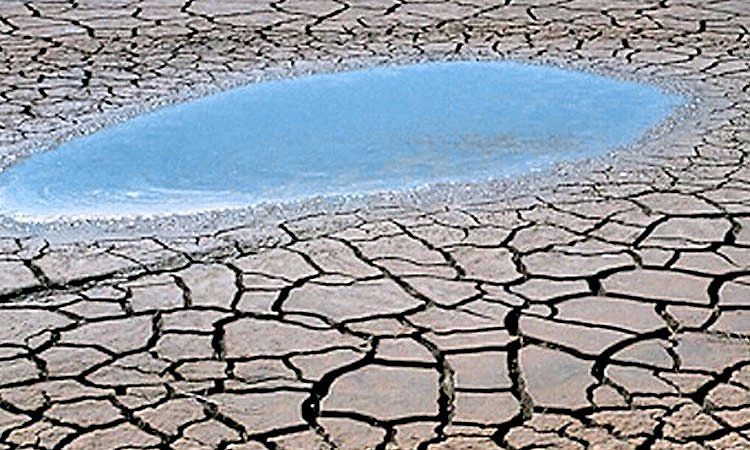 ದ.ಕ. ಜಿಲ್ಲೆ: ಅಂತರ್ಜಲ ಮಟ್ಟ ಕುಸಿತ ಕಳವಳ