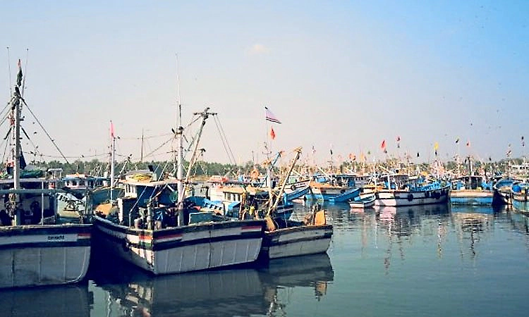 Diesel shortage hits deep-sea fishing boats along Karnataka coast