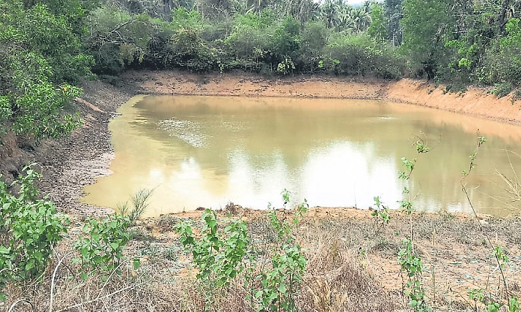 Groundwater levels rise in Dakshina Kannada, but decline in some taluks raises concern