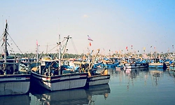 ಮೀನುಗಾರಿಕೆಗೆ ತಟ್ಟಿದ ಡೀಸೆಲ್‌ ಅಭಾವದ ಬಿಸಿ: ನೂರಾರು ಬೋಟ್‌ಗಳು ಲಂಗರು; ಭಾರೀ ನಷ್ಟ