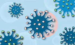 20 ದೇಶಗಳಿಗೆ ಹಬ್ಬಿದ ಕೋವಿಡ್ ಹೊಸ ಉಪತಳಿ   