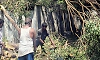 Nearly 949 trees uprooted in Bengaluru due to rain in one month