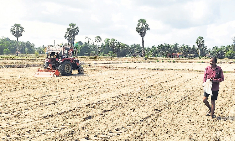 Farmers await monsoon: Sowing activities pick up pace