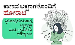 ಕಾಣದ ಲಕ್ಷಣಗಳೊಂದಿಗೆ ಹೋರಾಟ; ಸ್ಕಿಜೋಫ್ರೇನಿಯಾದಲ್ಲಿ ಜ್ಞಾನಾತ್ಮಕ ಕಾರ್ಯಕ್ಷಮತೆಯ ಸಮಸ್ಯೆಗಳು