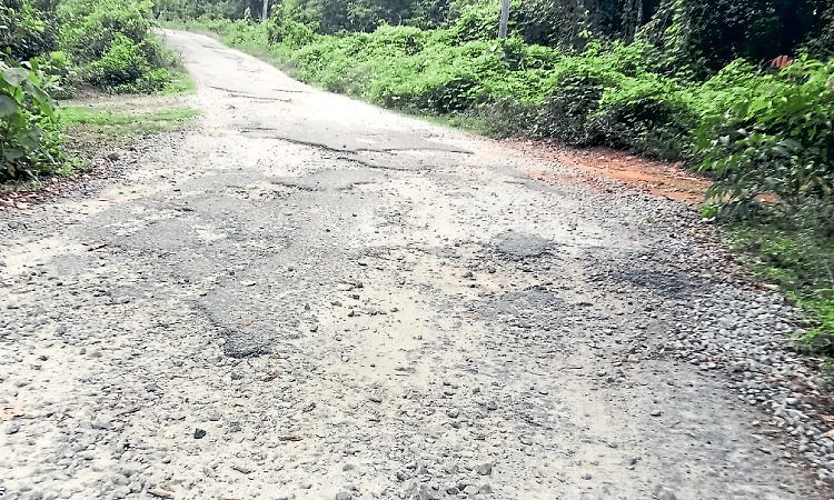 2 ದಶಕಗಳಿಂದ ಅಭಿವೃದ್ಧಿ ಕಾಣದ ದೆಪ್ಪುತ್ತೆ ರಸ್ತೆ