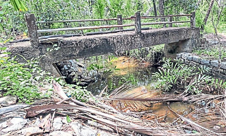 ಹೇರಿಕುದ್ರು ಪರಿಸರದ ತೋಡಿನಲ್ಲಿ  ಹೂಳು, ನೀರು ನಿಂತು ದುರ್ನಾತ