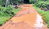 Mangaluru: ಪಂಜಿರೈಲು ರಸ್ತೆ ಅಭಿವೃದ್ಧಿಗೆ ರೈಲ್ವೇ ಹಳಿ ಅಡ್ಡಿ!