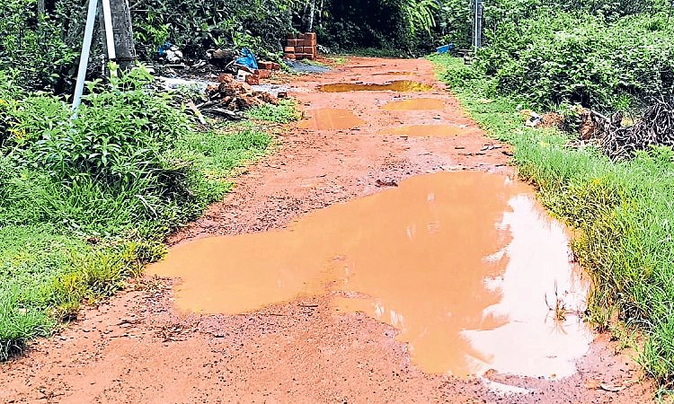 Mangaluru: ಪಂಜಿರೈಲು ರಸ್ತೆ ಅಭಿವೃದ್ಧಿಗೆ ರೈಲ್ವೇ ಹಳಿ ಅಡ್ಡಿ!