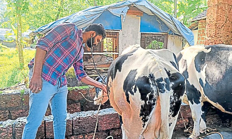 ಕಾಂಞಂಗಾಡ್‌ ಸಂಚಾರಿ ಪಶು ಚಿಕಿತ್ಸಾಲಯಕ್ಕೆ ವರ್ಷ