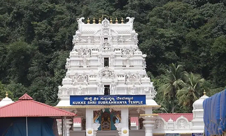 ಕುಕ್ಕೆ ಸುಬ್ರಹ್ಮಣ್ಯ ಕ್ಷೇತ್ರದಲ್ಲಿ ಭಕ್ತಸಾಗರ
