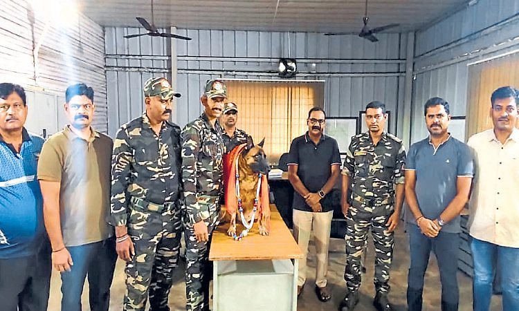 8 ವರ್ಷ ಅಪ್ರತಿಮ ಸೇವೆ: ಎಎನ್‌ಎಫ್‌ನಿಂದ 'ಆಲ್ಚಿ' ನಿವೃತ್ತಿ