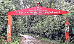 "ಆದರ್ಶ ಗ್ರಾಮ' ಬಳ್ಪ: ಕೃಷಿ, ಭೂಮಿ, ಬದುಕು ಉಳಿಯಬಹುದೇ?