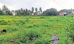 ಗಂಗೊಳ್ಳಿ ಸಂತೆಗೆ ಜಾಗದ ಕೊರತೆ