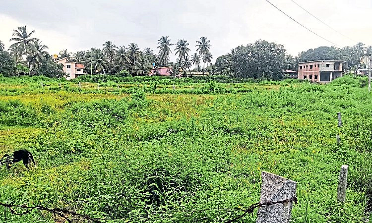 ಗಂಗೊಳ್ಳಿ ಸಂತೆಗೆ ಜಾಗದ ಕೊರತೆ