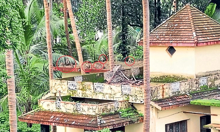 Uppunda: ಮತ್ತೆ ಜೀವ ಪಡೆದ ಮಂಕಿ ಪಾರ್ಕ್‌ ಬೇಡಿಕೆ