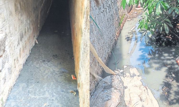 Puttur; ಕಲ್ಲಾರೆ: ಮಳೆ ನೀರಿನ ಚರಂಡಿಯಲ್ಲೇ ಮಡುಗಟ್ಟಿದ ತ್ಯಾಜ್ಯ!