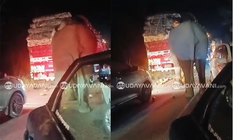 Gundlupete: ಬಂಡೀಪುರದಲ್ಲಿ ಲಾರಿ ಅಡ್ಡಗಟ್ಟಿದ ಕಾಡಾನೆ: ತರಕಾರಿ ಚೆಲ್ಲಾಪಿಲ್ಲಿ