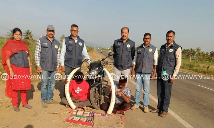 Kollegala: ಆನೆ ದಂತ ಸಾಗಿಸುತ್ತಿದ್ದ ಮೂವರಲ್ಲಿ ಇಬ್ಬರ ಬಂಧನ, ಓರ್ವ ಪರಾರಿ