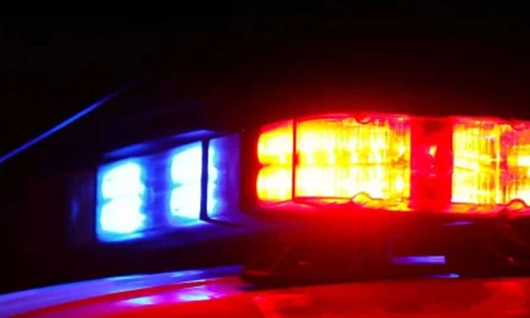 ಗೋವೆಹಾಡಿ: ಕೋಳಿ ಅಂಕಕ್ಕೆ ಪೊಲೀಸ್‌ ದಾಳಿ; ಇಬ್ಬರು ವಶಕ್ಕೆ; ಉಳಿದವರು ಪರಾರಿ