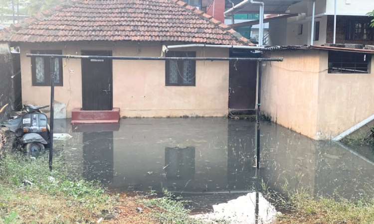 Mangaluru: ಅಂಗಳಕ್ಕೇ ನುಗ್ಗಿದ ಡ್ರೈನೇಜ್‌ ನೀರು