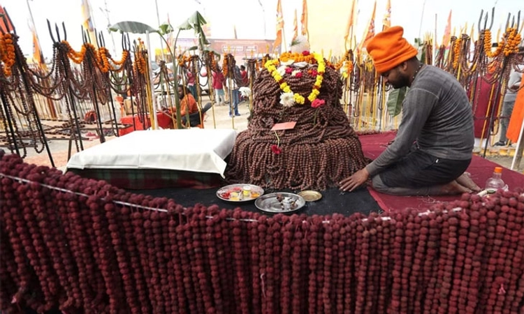 Maha Kumbh; 7 ಕೋಟಿ ರುದ್ರಾಕ್ಷಿಗಳಿಂದ 12 ಜ್ಯೋತಿರ್ ಲಿಂಗಗಳ ರಚನೆ
