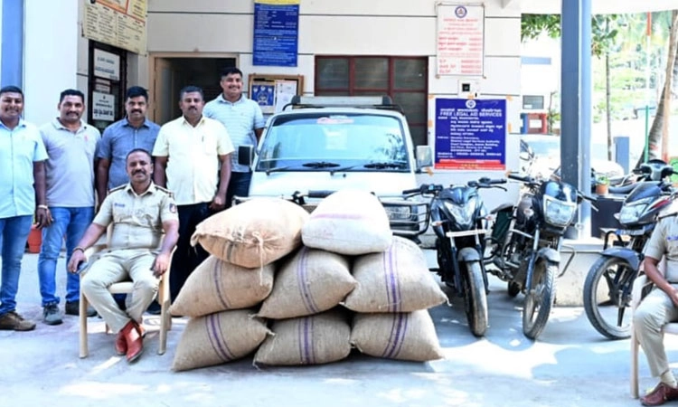 ಹೊಳೆಹೊನ್ನೂರು ಸುತ್ತಮುತ್ತಲು ಅಡಿಕೆ ಕಳ್ಳತನ: ಮೂವರು ಆರೋಪಿಗಳ ಬಂಧನ