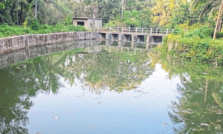 Bajpe: 7 ಅಣೆಕಟ್ಟೆಗೆ ಹಲಗೆ; ತುಂಬಿದ ನೀರು