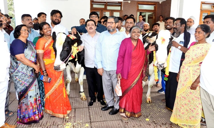 Chamarajpete: ಕೆಚ್ಚಲು ಕೊಯ್ದ ಕೇಸ್‌; 3 ಲಕ್ಷ ರೂ.ಮೌಲ್ಯದ 3 ಹಸು ಕೊಡಿಸಿದ ಸಚಿವ ಜಮೀರ್‌