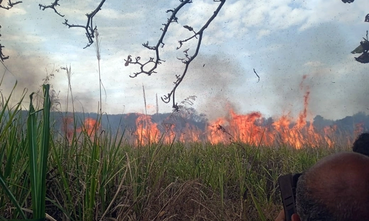 Dharwad: ಕಟಾವಿಗೆ ಬಂದಿದ್ದ 50 ಎಕರೆ ಕಬ್ಬು ಬೆಂಕಿಗಾಹುತಿ… ಕಂಗಾಲಾದ ರೈತರು