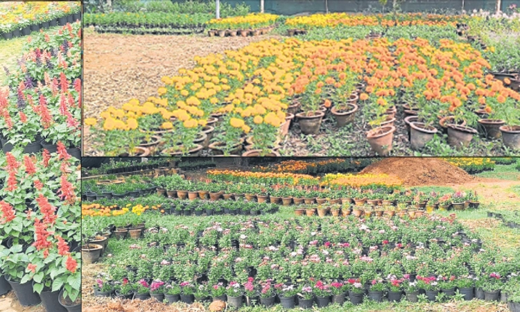 Mangaluru: ಕದ್ರಿ ಪಾರ್ಕ್‌ನಲ್ಲಿ ಫಲಪುಷ್ಪ ಪ್ರದರ್ಶನ; ಕರಾವಳಿಯ ಅನಾವರಣ