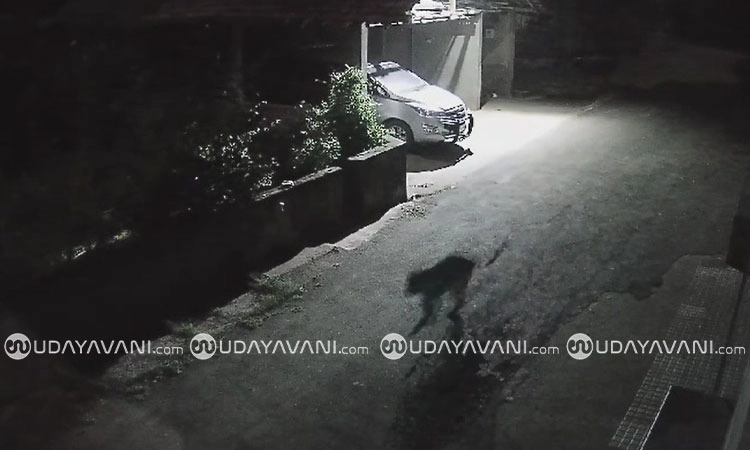 Sirsi: ಸಂಸದ ಕಾಗೇರಿ ಮನೆ ಅಂಗಳದಲ್ಲಿ ಚಿರತೆ ಓಡಾಟ; ಸಿಸಿ ಕ್ಯಾಮರಾದಲ್ಲಿ ದೃಶ್ಯ ಸೆರೆ