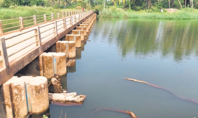 Kinnigoli: ತುಂಬಿ ತುಳುಕಿದ ಪಂಜ ಅಣೆಕಟ್ಟು