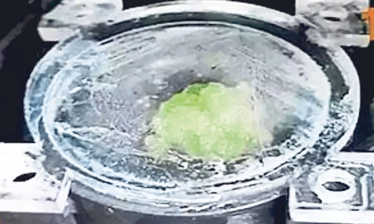 ಅಲಸಂಡೆ ಆಯಿತು, ಈಗ ಬಾಹ್ಯಾಕಾಶದಲ್ಲಿ ಚಿಗುರಿದ ಅಮಿಟಿ ವಿವಿಯ ಪಾಲಾಕ್‌