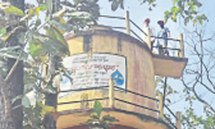 ಯಲ್ಲಾಪುರ: ನೀರಿನ ಟ್ಯಾಂಕ್‌ನಲ್ಲಿ ಕೊಳೆತ ಹಾವು; ಜನರಲ್ಲಿ ಆತಂಕ