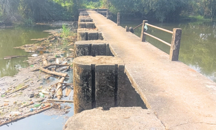 Belman: ಕರಿಯತ್ತಲಗುಂಡಿ ನೇಪಥ್ಯಕ್ಕೆ ಸರಿದ ಅಣೆಕಟ್ಟು !