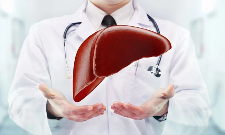 Liver Cancer: ಯಕೃತ್‌ ಕ್ಯಾನ್ಸರ್‌ನೊಂದಿಗೆ ಬದುಕಲು ಕಾರ್ಯತಂತ್ರಗಳು