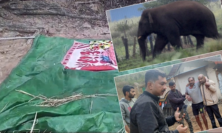 Chikkamagaluru: ಮಲಗಿದ್ದ ವ್ಯಕ್ತಿಯನ್ನು ಸೊಂಡಿಲಿನಿಂದ ಎತ್ತಿ ಬಿಸಾಡಿದ ಕಾಡಾನೆ…