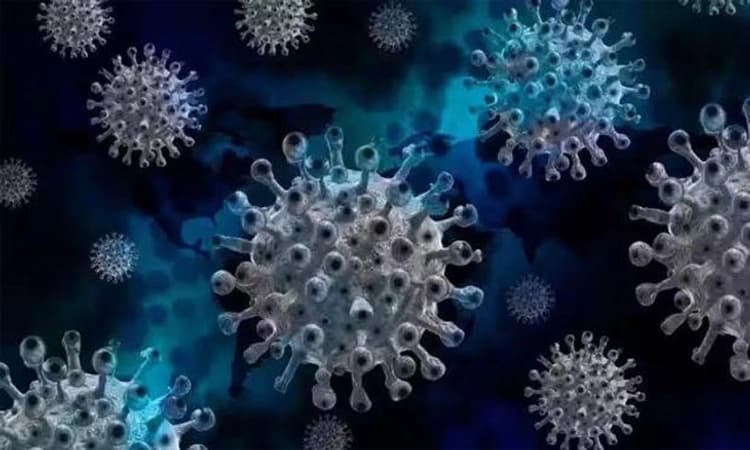 HMPV; ಗುಜರಾತ್‌, ಅಸ್ಸಾಂನಲ್ಲಿ ತಲಾ 1 ಕೇಸು ಪತ್ತೆ