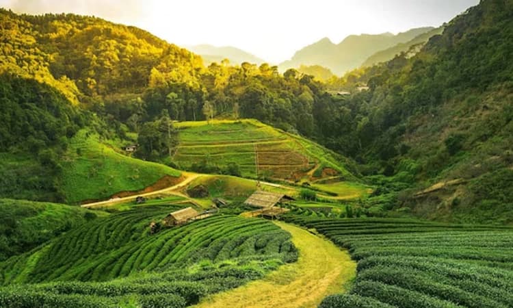 New York Time ಟ್ರಾವೆಲ್ 2025 ಲಿಸ್ಟ್; 52 ಸ್ಥಳಗಳ ಪಟ್ಟಿಯಲ್ಲಿ ಅಸ್ಸಾಂಗೆ ನಾಲ್ಕನೇ ಸ್ಥಾನ