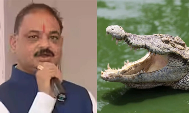 Bhopal: ಬಿಜೆಪಿ ಮಾಜಿ ಶಾಸಕ ಸಿಂಗ್‌ ನಿವಾಸದ ಮೇಲೆ ಐಟಿ ದಾಳಿ; ನಗದು, 3 ಮೊಸಳೆ ಪತ್ತೆ!