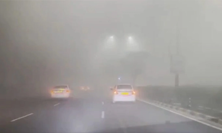 Delhi-NCR: ದಟ್ಟ ಮಂಜು ಕವಿದ ವಾತಾವರಣ-ವಿಮಾನ,ವಾಹನ ಸಂಚಾರಕ್ಕೆ ಎಫೆಕ್ಟ್‌, ಟ್ರಾಫಿಕ್‌ ಜಾಮ್