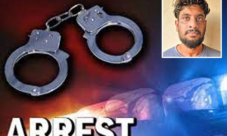 Mangaluru: ಹೈಡ್ರೋ ವೀಡ್‌ ಗಾಂಜಾ ಸಹಿತ ಓರ್ವನ ಬಂಧನ
