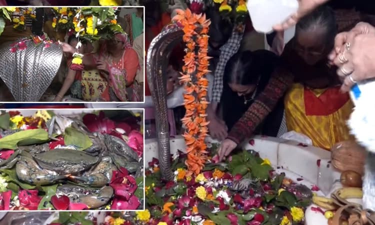 Unique Ritual: ಈ ಊರಿನ ಶಿವ ದೇವನಿಗೆ ಭಕ್ತರು ಅರ್ಪಿಸುವುದು ಹೂ, ಹಣ್ಣು ಅಲ್ಲ.. ಜೀವಂತ ಏಡಿ