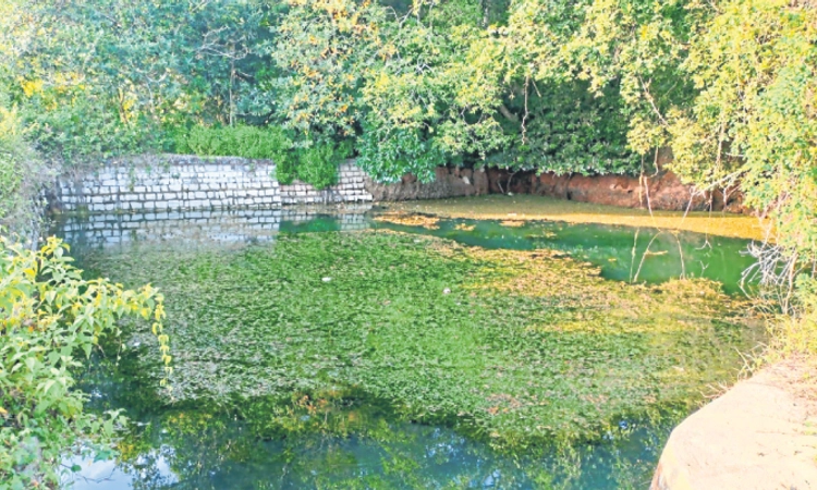 Padubidri: ಮದ್ಮಲ್‌ ಕೆರೆಗೆ ಜೀವ ಬರಲಿ