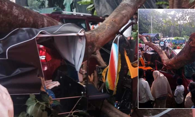 ಭಾರೀ ಗಾಳಿಗೆ ಮುರಿದು ಬಿದ್ದ ಬೃಹತ್ ಮರ… ರಿಕ್ಷಾ, ಕಾರು ಜಖಂ, ಪ್ರಯಾಣಿಕರು ಜಸ್ಟ್ ಮಿಸ್
